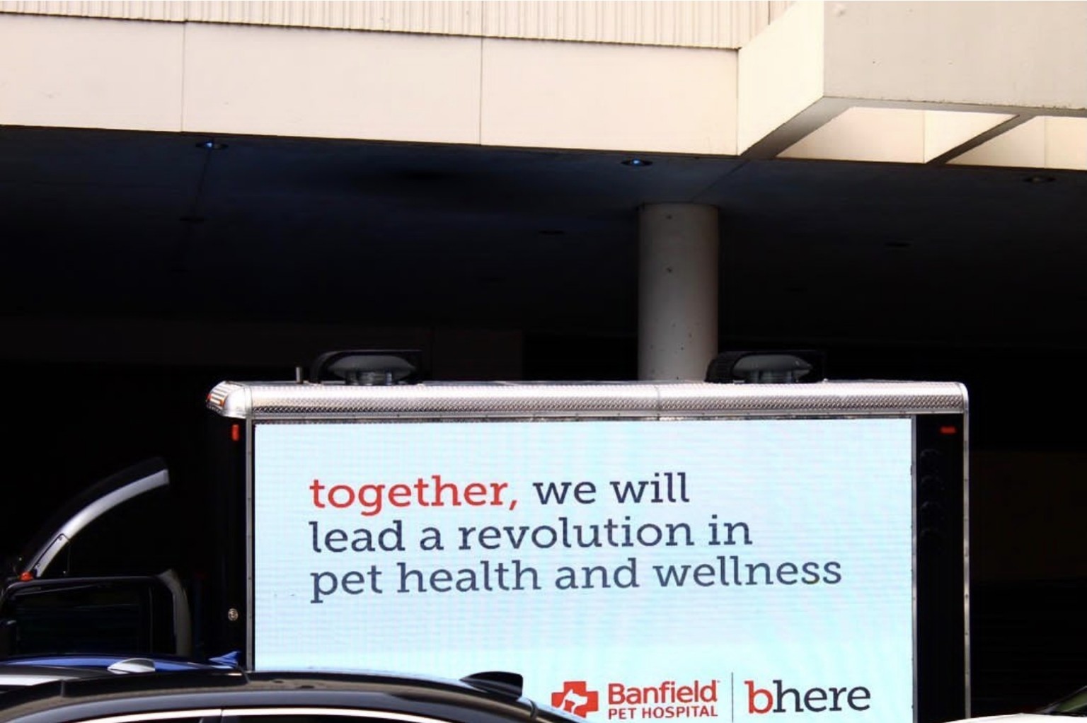 Banfield Pet Hospital pet health and wellness creative